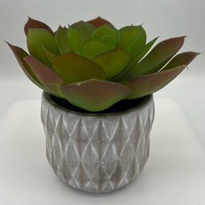 Artificial Succulent Plant Cement Style Pot 6" Bohemian Home Garden Faux
